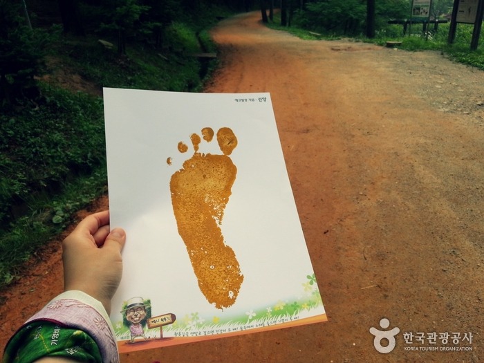 초아랑 대전 계족산 황톳길 가고 싶다 | 인스티즈