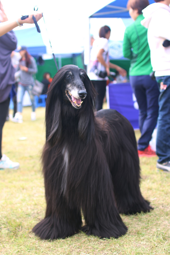 에스카 이미지
