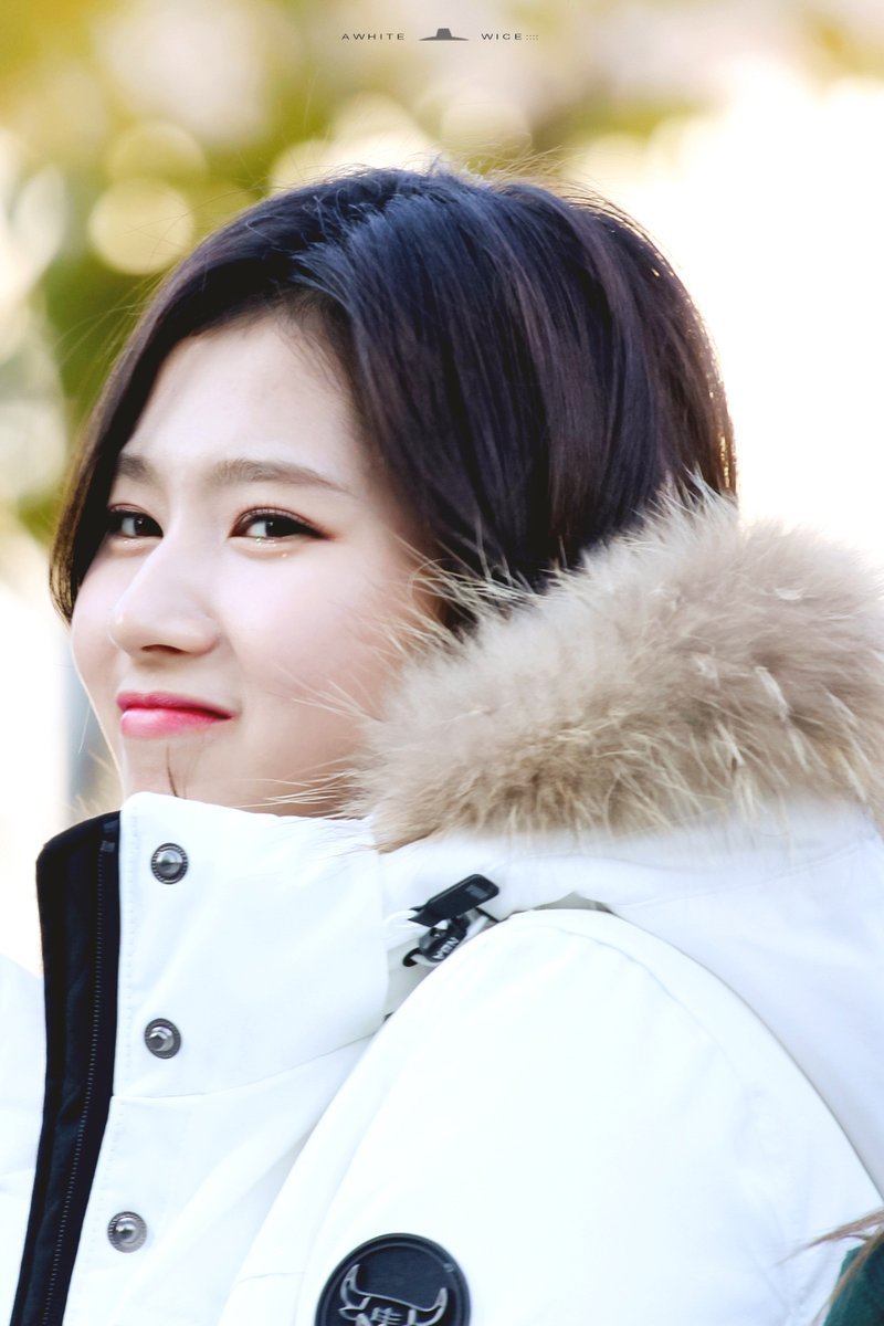 [트와이스] 눈에서 꿀 흐르는 사나.gif | 인스티즈