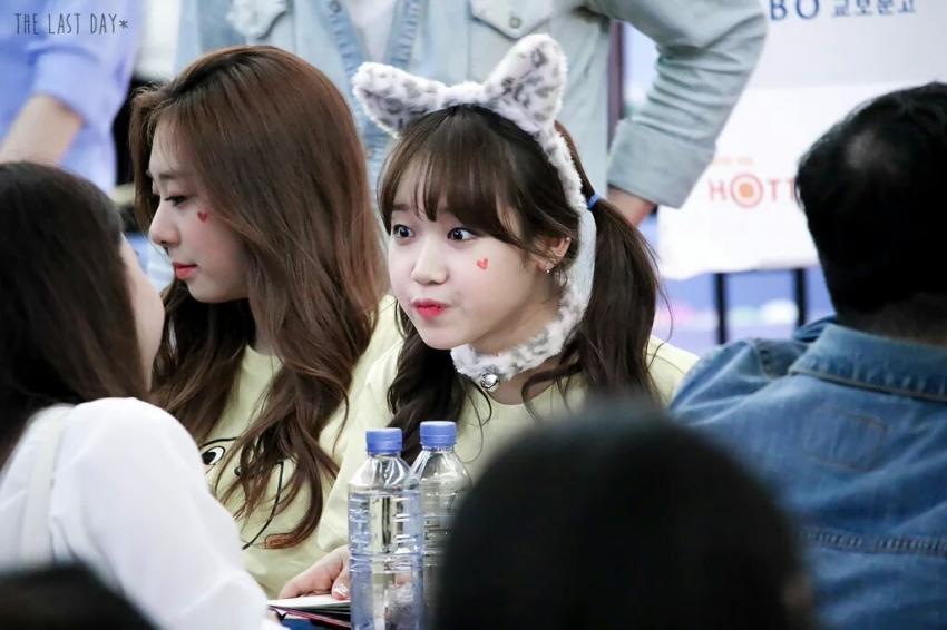ioi 아이오아이 흔할 것 같지만 실제론 찾기 힘든 비쥬얼 만능캐 유댕이 (최유정) 짤 모음. (feat. 볼매/데이터주의)) (I.O.I) | 인스티즈