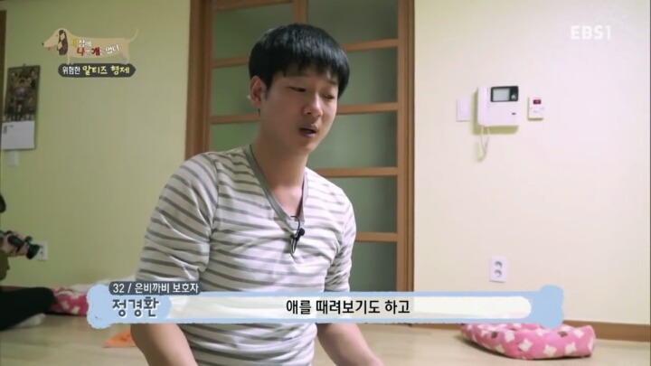 [세나개] 공격적인 반려견이 되는 이유 1부.jpg | 인스티즈