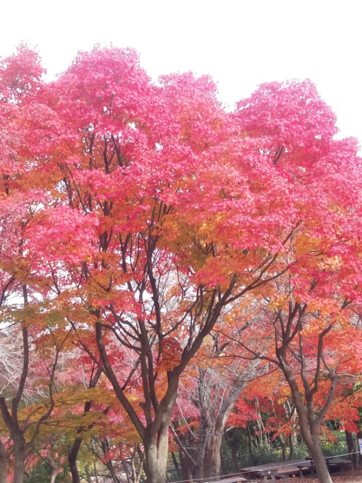 컴친구 이미지