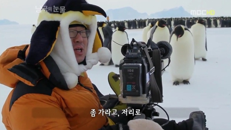 펭귄한테 역관광 당한 사람들 | 인스티즈