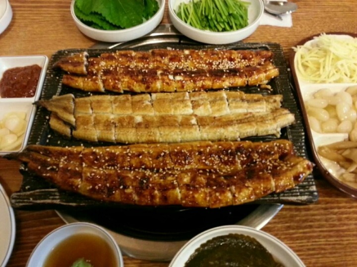 풍천장어 이미지