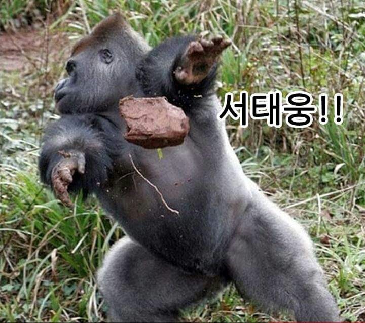 믿고보는 제목학원 | 인스티즈