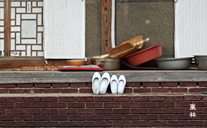 율림 이미지