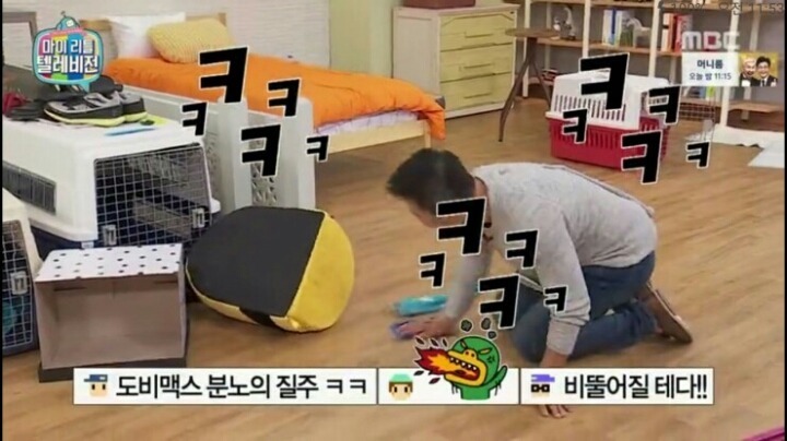 [마리텔] 강형욱 훈련사도 포기한 강아지 도비 | 인스티즈