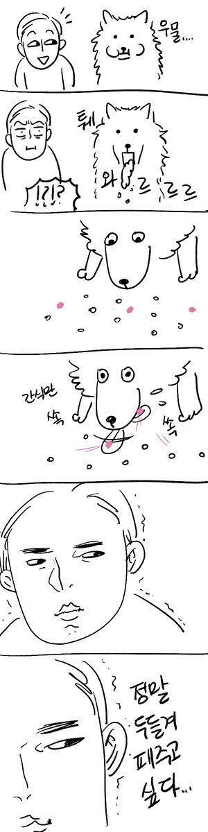 강아지 키우는 사람들 공감 | 인스티즈