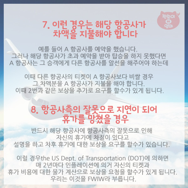 항공사가 숨기는 탑승객 권리 10가지 | 인스티즈