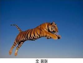 호불호갈리는 몸매.JPG | 인스티즈