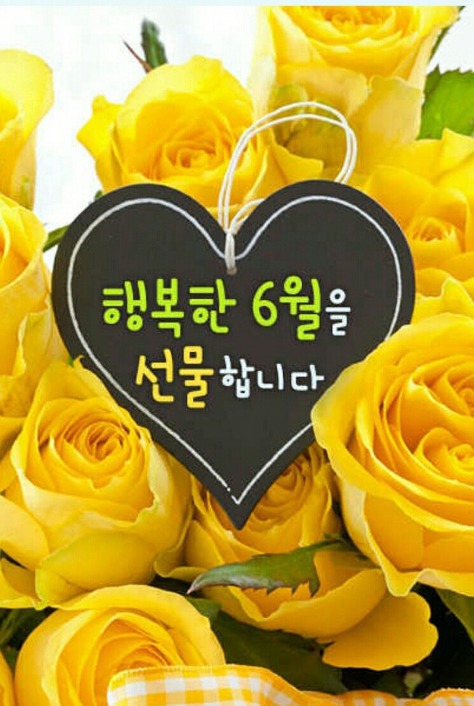 오늘도;예쁜 이미지