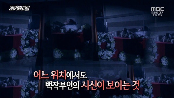  1년만 하면 270억 받는거 도전 한다vs안한다 | 인스티즈