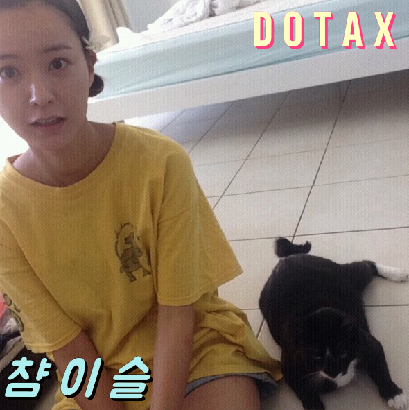 이해하면 무서운 아몬드 | 인스티즈