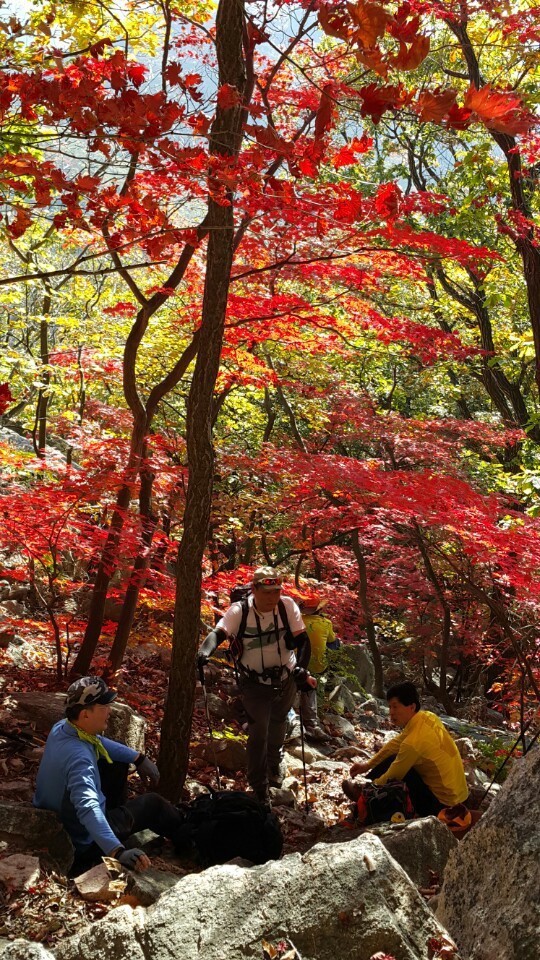 산사랑 이미지