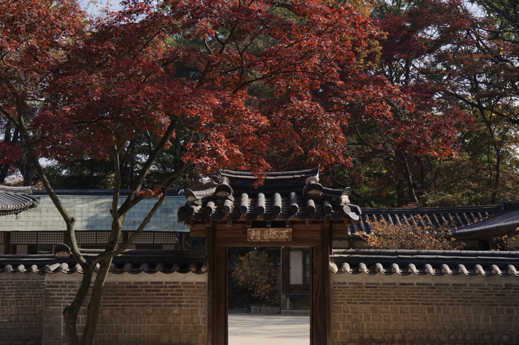주말간 서울 5대 고궁 탐방 사진 | 인스티즈