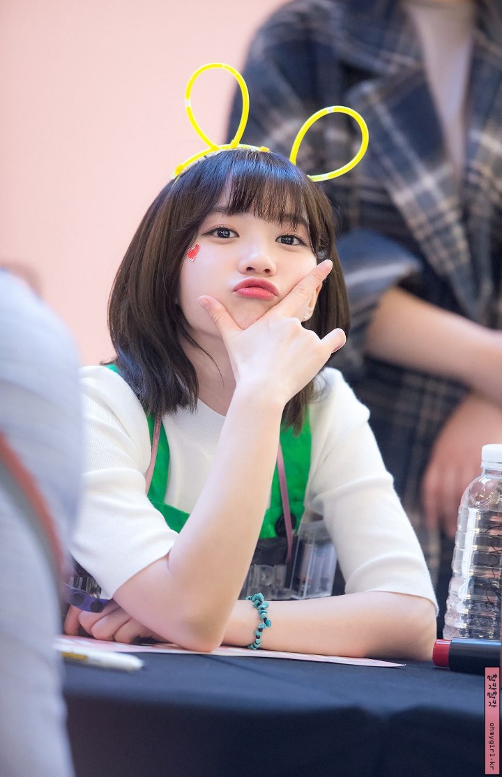 데이비니 이미지