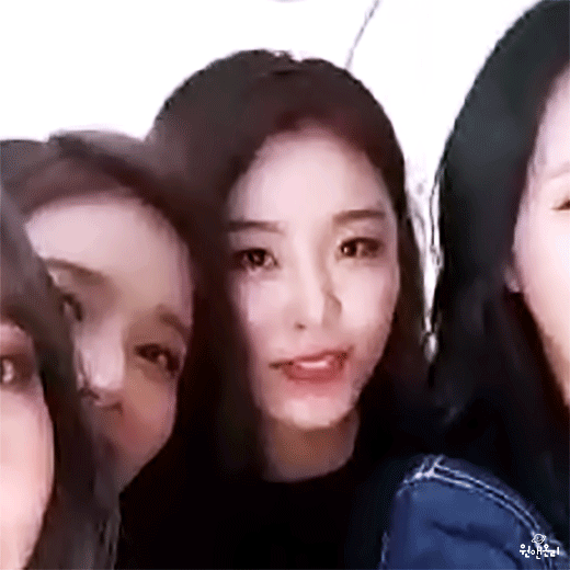 음색이 달달한 마마무 휘인 | 인스티즈