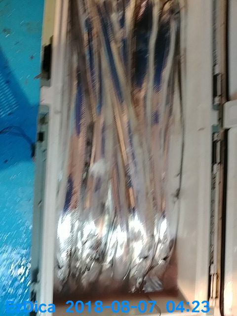 황금피싱 이미지