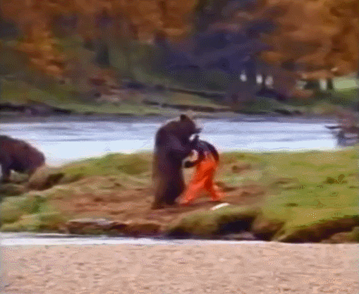 곰과 인간의 싸움.gif | 인스티즈