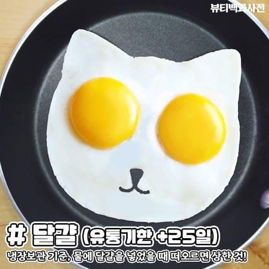 유통기한이 지나도 섭취가 가능한 음식들 | 인스티즈