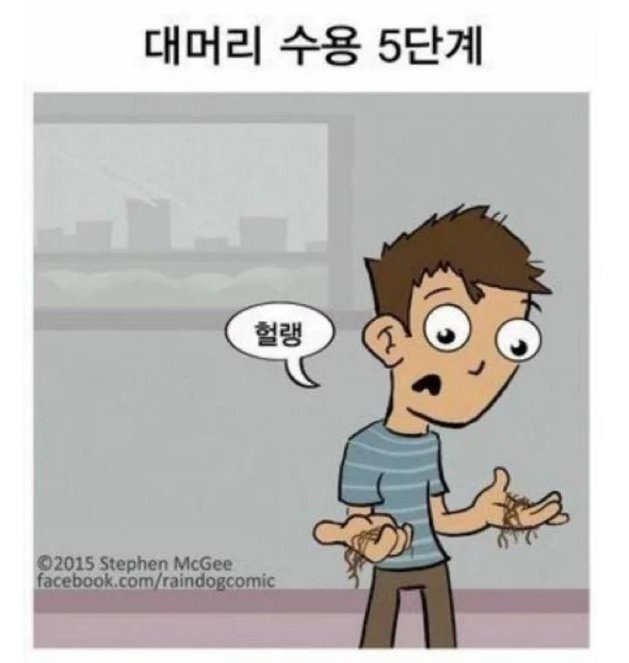 대머리 수용 5단계.JPG | 인스티즈