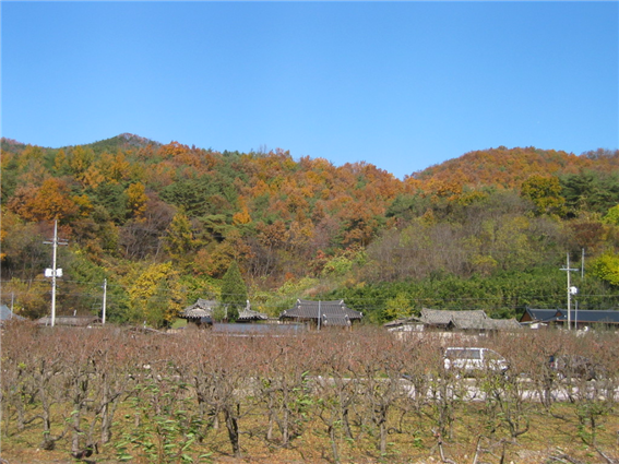 고향산천 이미지