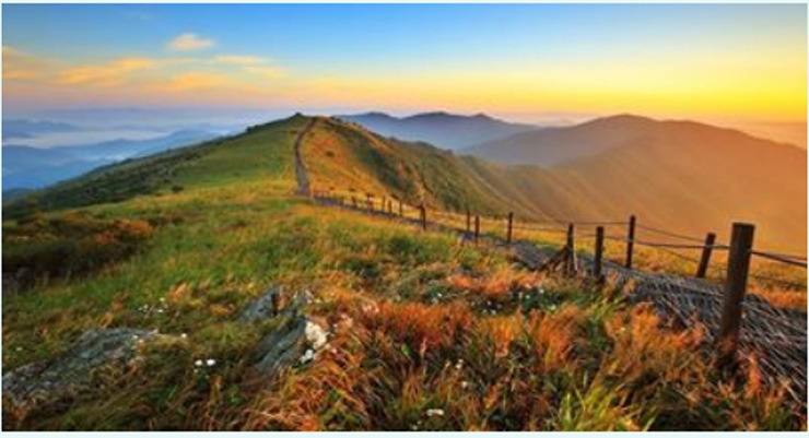 우산이불 이미지