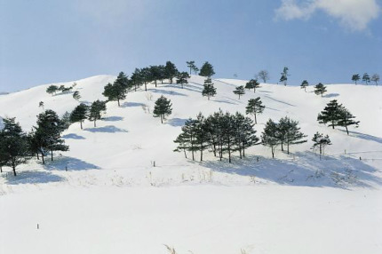 겨울이 이미지