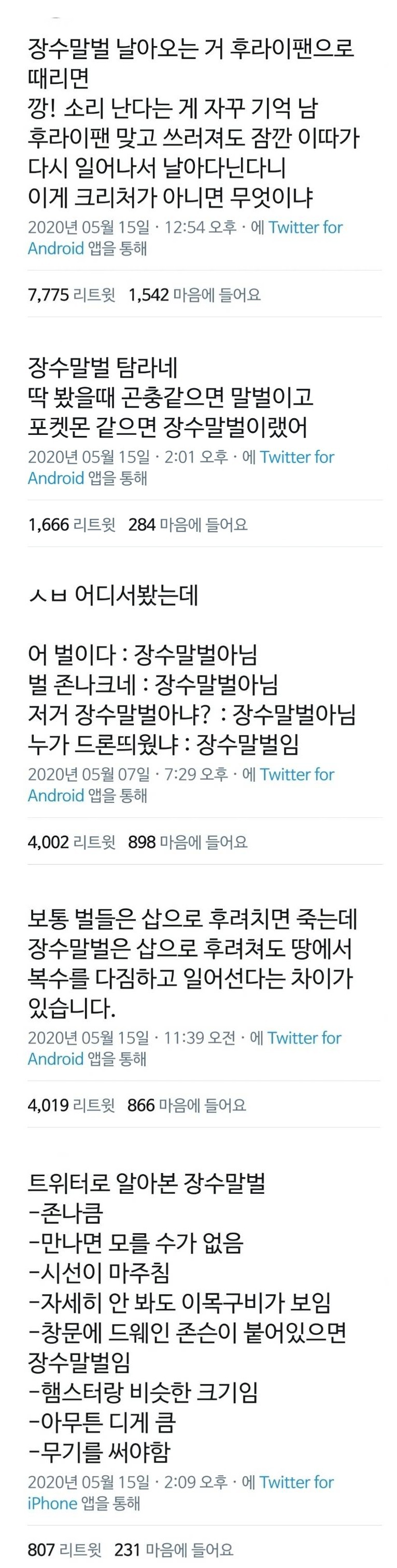 장수말벌 날아다닐 때 드론소리 난다는 카더라의 진실 | 인스티즈