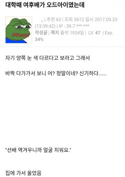 후배가 오드아이였던 썰 | 인스티즈