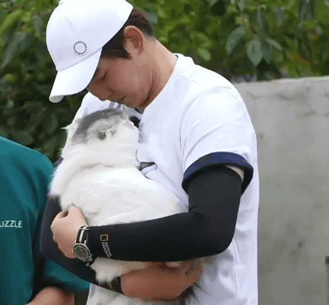[삼시세끼] 처음 본 잭슨 때문에 놀라서 귱집사 팔 꼬옥 붙드는 고양이 쿵이.gif | 인스티즈