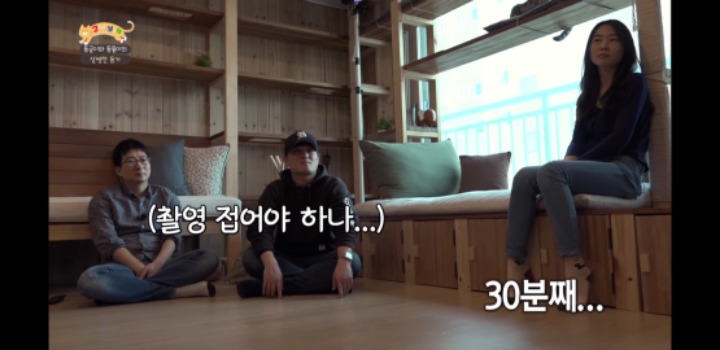 [고양이를부탁해] 세나개 강아지들과 고양이의 차이.jpg | 인스티즈
