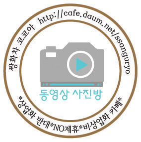 댕댕이 야옹이 심쿵시키기.gif | 인스티즈