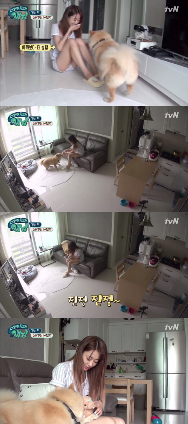 [대화가필요한개냥] 나인뮤지스 경리와 사랑스러운 반려견 시로.jpg | 인스티즈