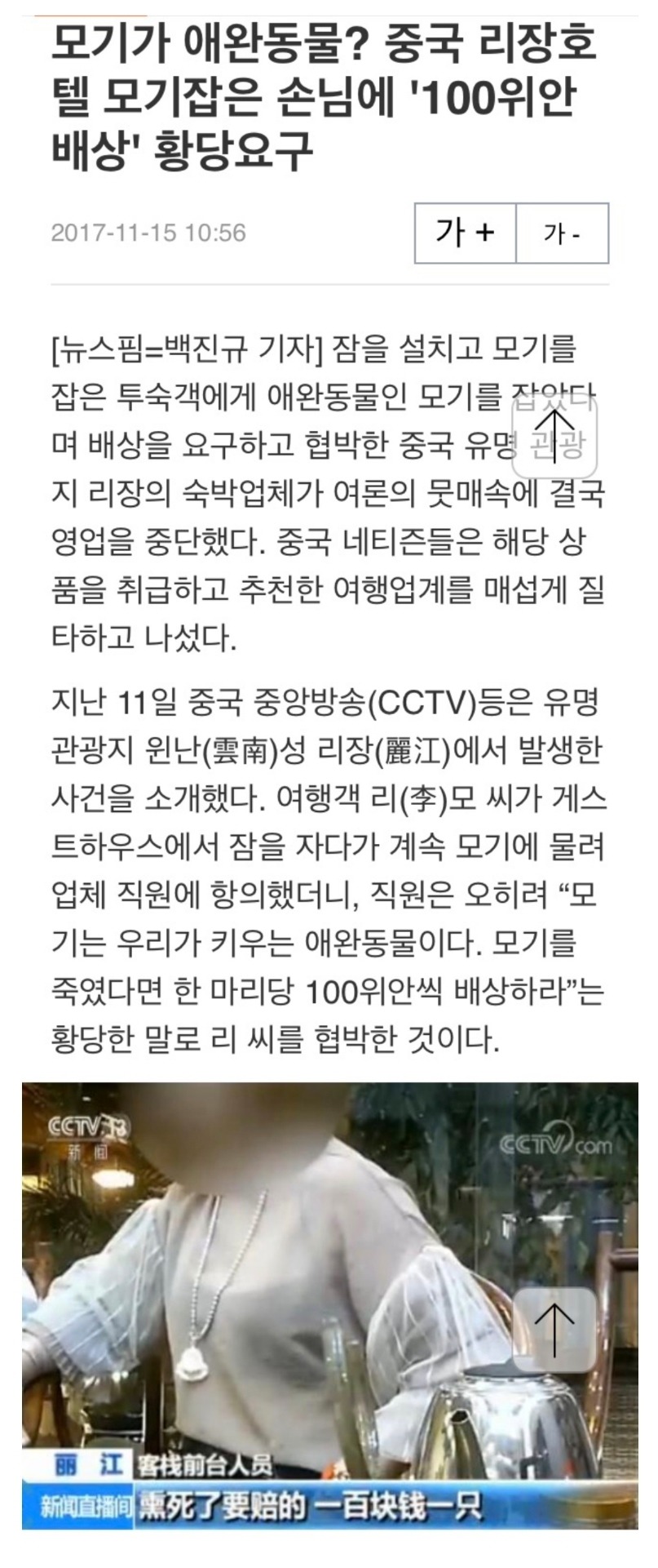 모기가 애완동물? | 인스티즈