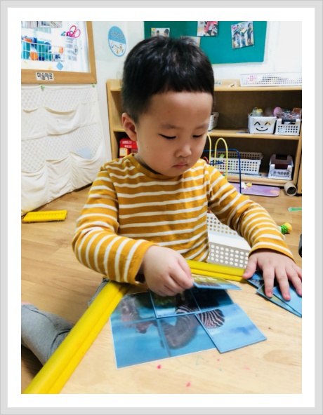 참색 이미지