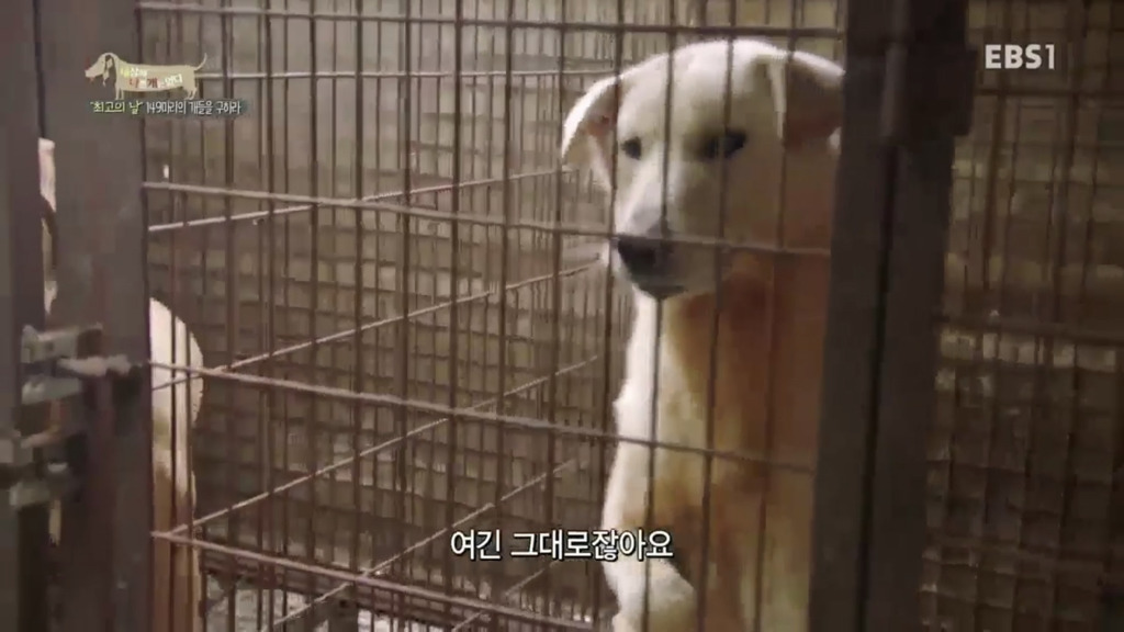 어떻게 사람을 그렇게 좋아할 수 있죠? | 인스티즈