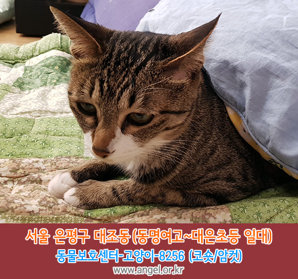 동명여자고등학교 이미지