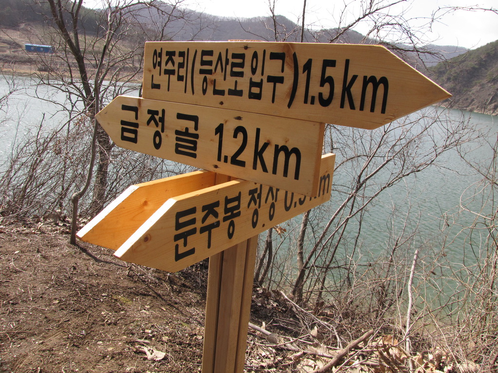 개구리반찬 이미지