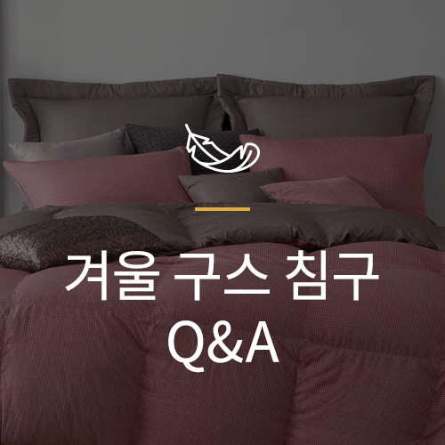 알레르망대전 이미지