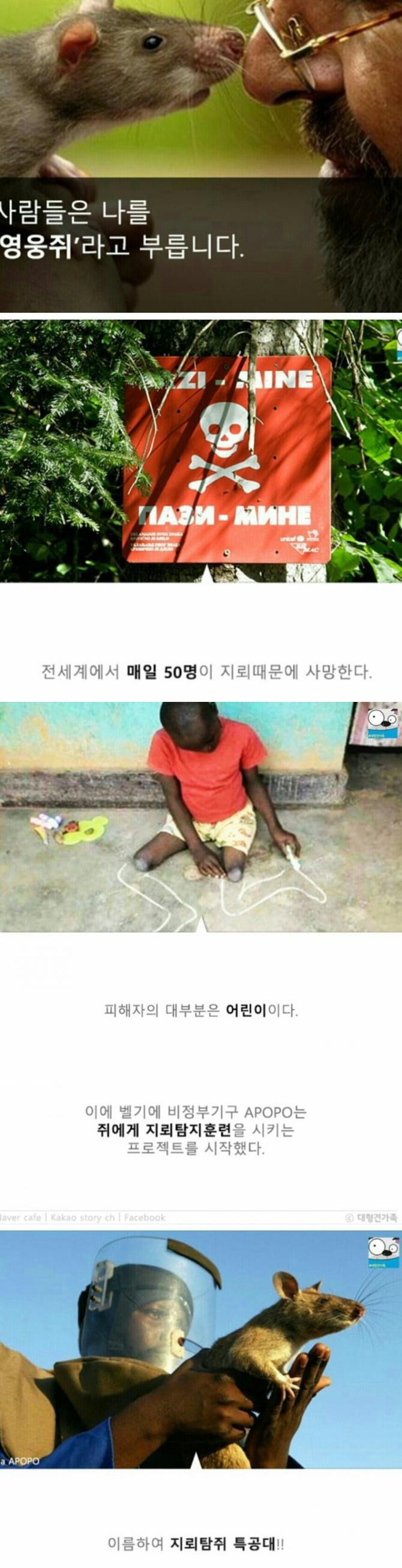 성공률 100％ 사망률 0％의 지뢰제거법 | 인스티즈