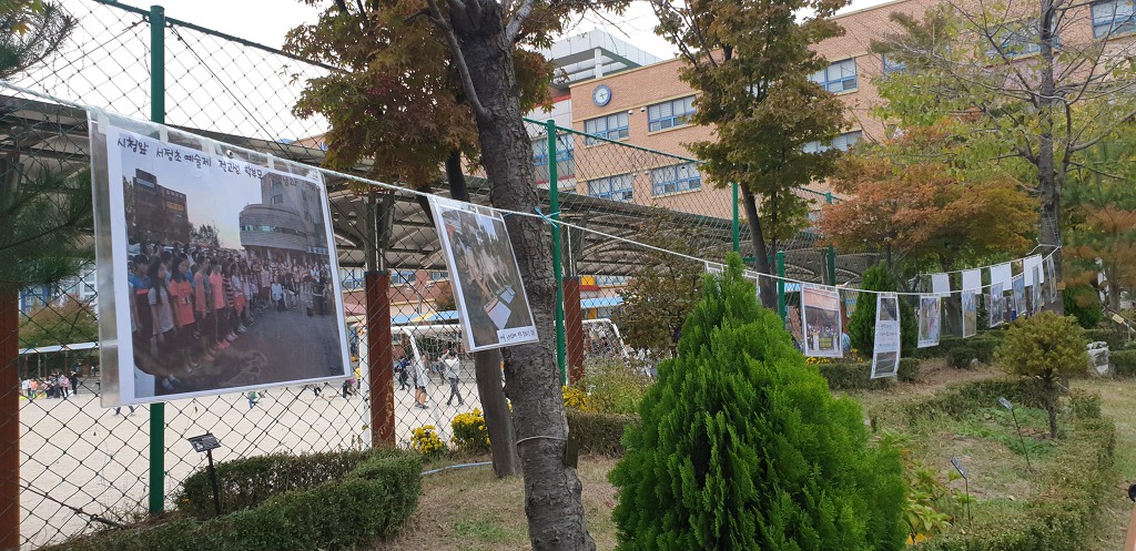 파란섬 이미지