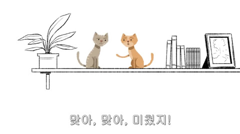 [동물] 고양이의 속마음 | 인스티즈