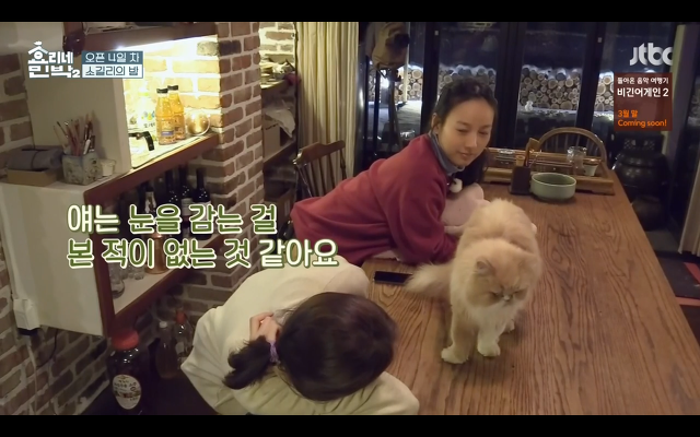 [효리네민박] 윤아와 눈인사 잘해주는 고양이 삼식이ㅠㅠ.gif | 인스티즈