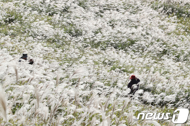 사진기자들이 포착한 2017년 단풍들.jpg | 인스티즈