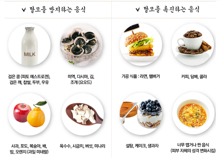 알아두면 언젠가는 쓸수있는 좋은 몇가지 정보들 | 인스티즈