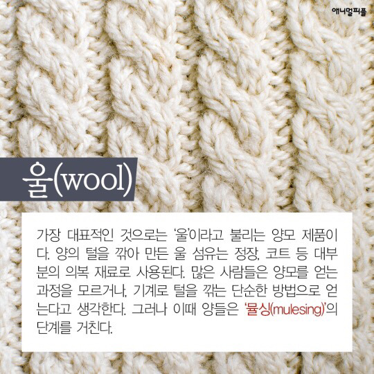 일상에 스며든 동물학대 생산품들 (중간에 피 주의) | 인스티즈
