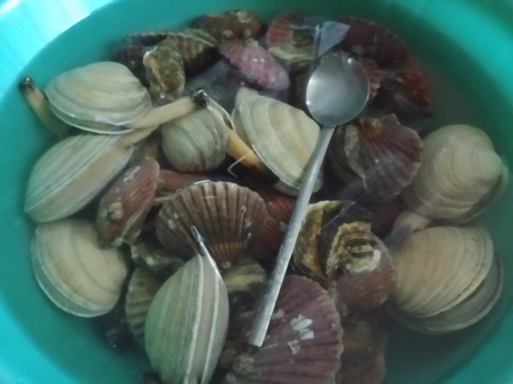 백합 이미지