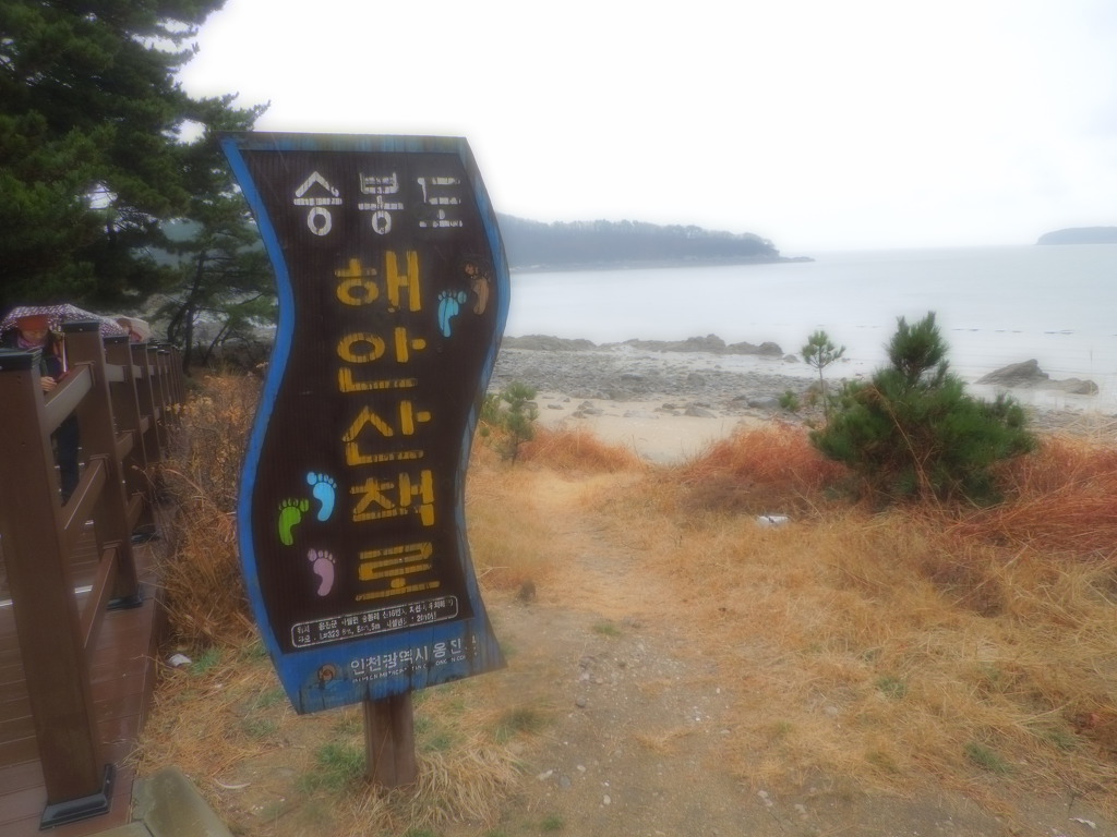 자갈밭과메기 이미지