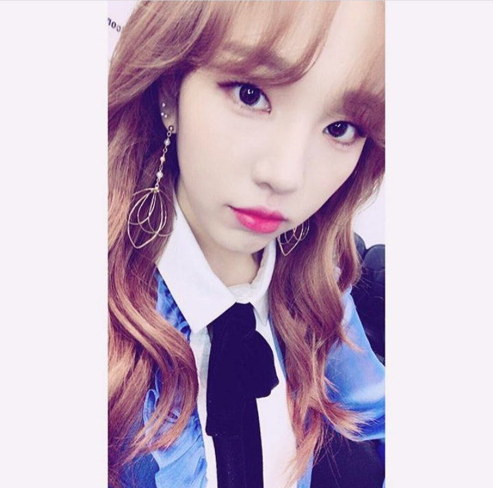 2018 ver. 제왑 얼굴상 분류 ＜＜NEW! | 인스티즈